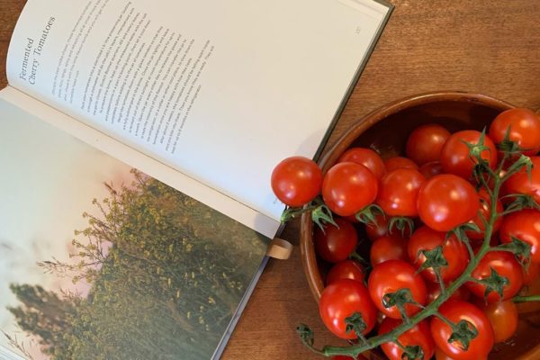 Open book next to cherry tomatoes